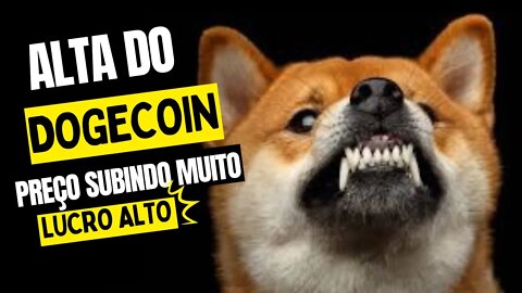 O Preço do Dogecoin continua crescendo!