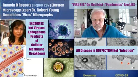 Report 282: Electron Microscopy Expert & Scientist Dr. Robert Young Demolishes "Virus" Micrographs