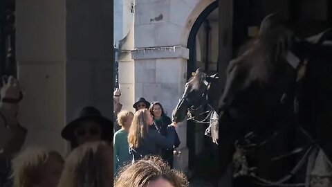 Horse bites finger #horseguardsparade