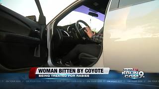 Tucson woman bit by a coyote on the west side