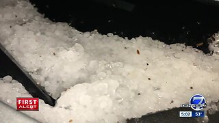 Early morning hailstorm damages trees, cars in the Denver metro area
