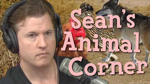 Sean's Animal Corner (Episode 238)