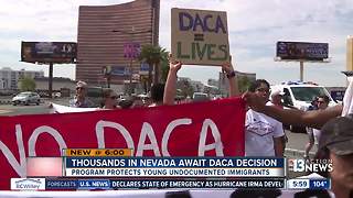 Thousands in Nevada waiting for DACA decision