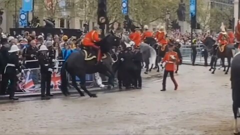 Police woman rescued by colleague's as kings guards horse backs into rallings #kingscoronation