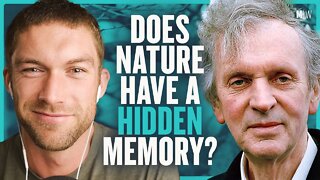 Does Nature Have A Hidden Memory? - Rupert Sheldrake | Modern Wisdom Podcast 379