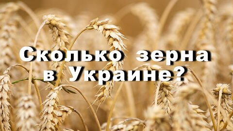 Сколько зерна в Украине?