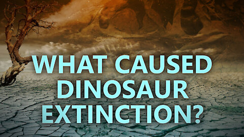 What caused dinosaur extinction?