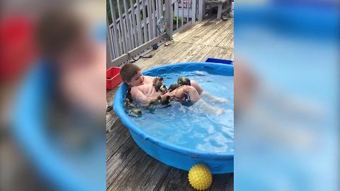 "Boy Laughs As Several Ducklings Crawl Over Him In Swimming Pool"