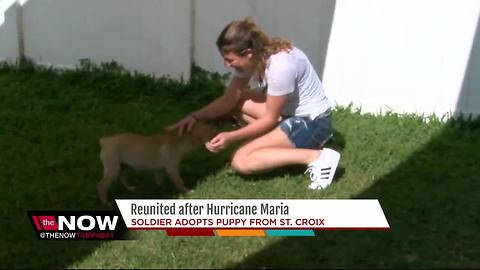 Soldier reunites with puppy she helped rescue in St. Croix during Hurricane Maria