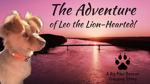 The Adventures Of Leo the Lion-Hearted
