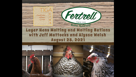 Layer Hens Molting and Molting Rations with Jeff Mattocks and Alyssa Walsh, August 25, 2021