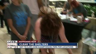 Clear the Shelters 2017