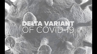 J&J COVID-19 vaccine lasts at least 8 months, protects against Delta variant, studies find