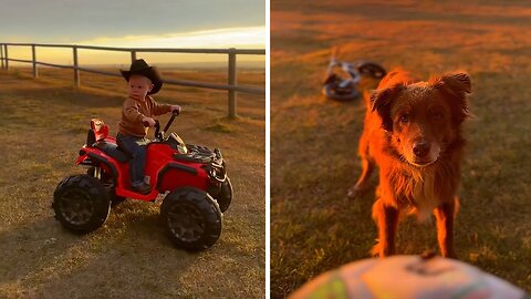 Toddler enjoy the outdoors country life