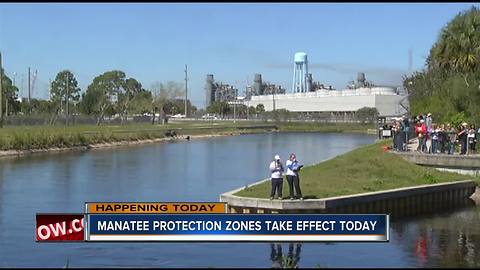 Manatee protection zones back in effect