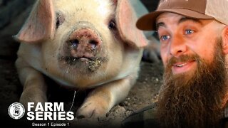 In a world of chaos a HOG FARMER takes matters into his own hands. RAISING ROOTS | MMNP Farm Series