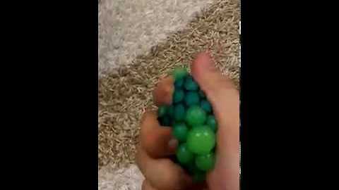 TRYPOPHOBIA toy