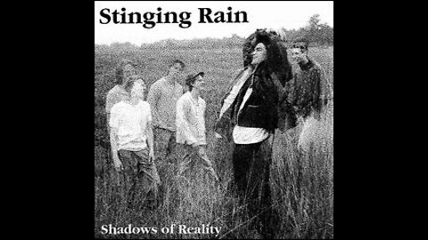 Different Sky - Stinging Rain