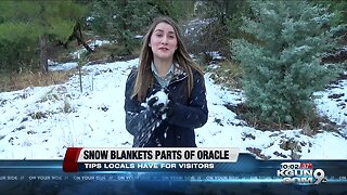 Snow blankets parts if Oracle