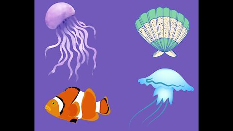 A rarity decided to appear ... Jellyfish