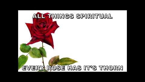 All Things Spiritual-Every Rose Has it’s Thorn