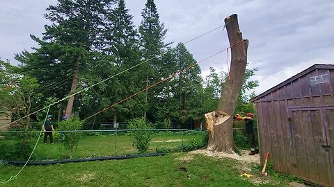 Dropping the Leaning Peg with the Maasdam and Fiddle Block - Storm Damaged Maple Day 2 Part 2