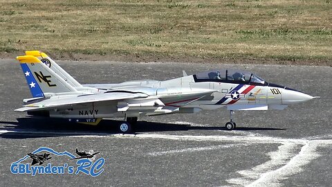 Freewing F-14 Tomcat Twin 80mm EDF Jet Flight Demo At Warbirds Over Whatcom