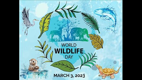 "World Wildlife Day 2024: Embracing Digital Innovation for Conservation Success"