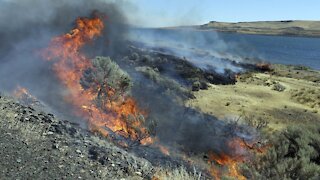 Plans Released To Help Reduce Fires In The West, Protect Wildlife