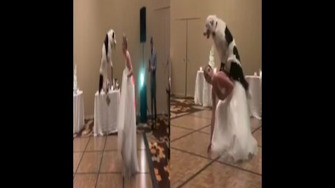This has got to be the greatest wedding dance ever❤❤