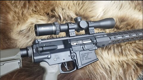 .22-250 AR-10 Complete Build and Initial Testing