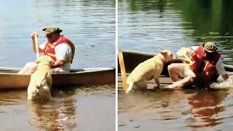 Dog climbs on top of the boat and ends up turning the boat