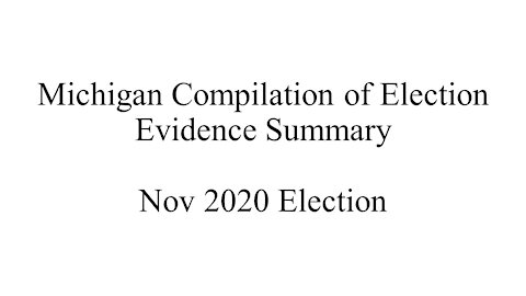 Michigan Election Evidence