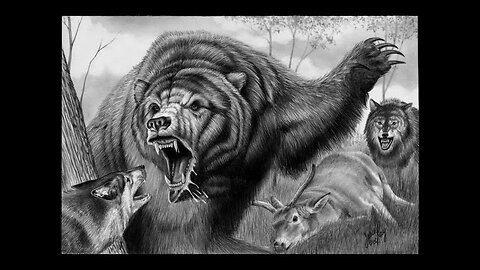 Wolves attacked a grizzly bear. Will he escape?