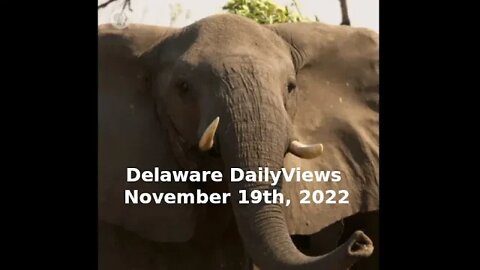 Election Aftermath, Delaware DailyViews: November 19th, 2022