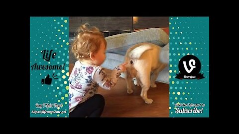 Try Not To Luagh Challenge 🤣 🔥 🤣 At This Animals Trolling