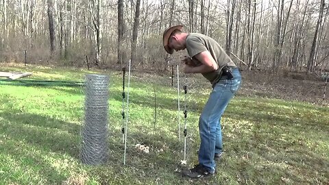 How To Protect Young Trees From Deer & Rabbits & Small Animals