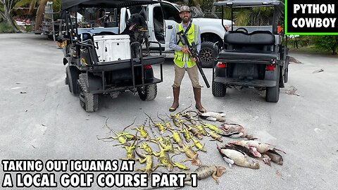 A Local Golf Course Shut Down So I Can Hunt Iguanas
