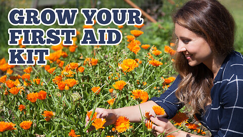 Must Have Herbs for Your FIRST-AID KIT