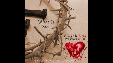 What Is Sin & Why Is Blood the Price of It?