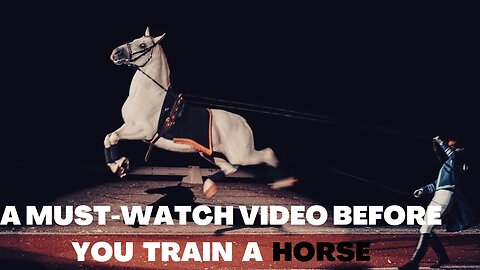 WHAT YOU MUST KNOW BEFORE STARTING HORSE TRAINING