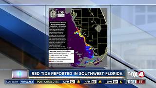 Red tide still threatens SWFL coast