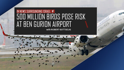 EPISODE #15 - 500 Million Birds Pose Risk at Ben Gurion Airport