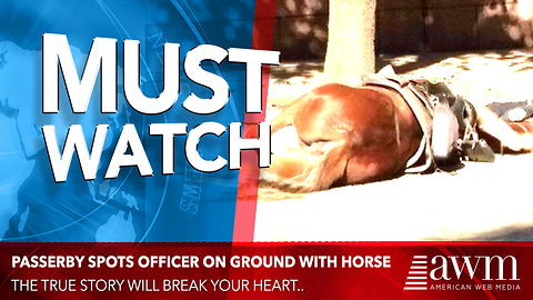 Passerby Sees Officer Laying With His Horse In The Street, Quickly Realizes Tragic Reason