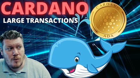 CARDANO Massive Whale Transaction Growth!! ADA Crypto Update