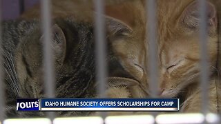 Humane Society offers summer camp for homeless children