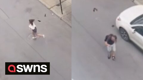 Pedestrians sent fleeing after pair of birds target and attack passersby on Montreal street