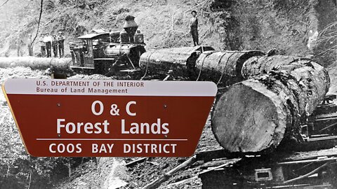 Denise Barrett Executive Director of Forest Bridges Discussing O&C Lands