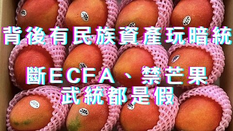 🔴英出細金ㄟ變種、美打加強針、陸停芒果輸入、總統最新民調、梅花基金、賴勁麟霍華德與暗統、特殊國國關係、金磚峰會開跑、月亮採礦、鮑爾演說鷹中帶鴿、Fed明年3月降息