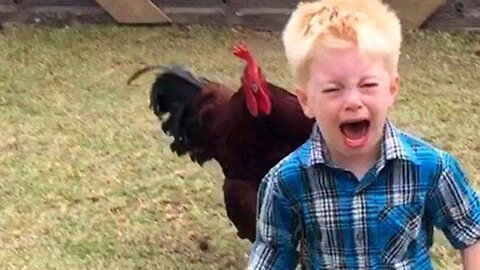 Funny Roosters Chasing kids Funny Complation 😂😂|